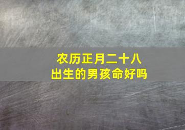 农历正月二十八出生的男孩命好吗