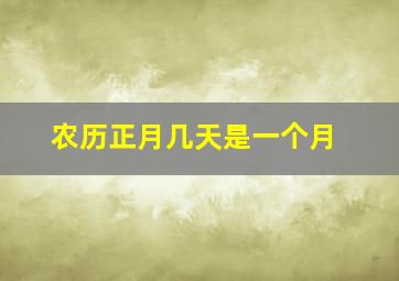 农历正月几天是一个月