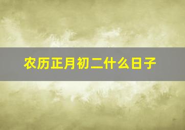 农历正月初二什么日子