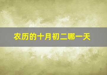 农历的十月初二哪一天