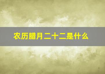 农历腊月二十二是什么