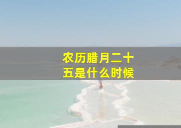 农历腊月二十五是什么时候