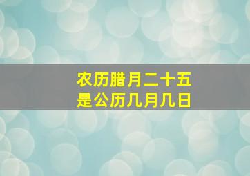 农历腊月二十五是公历几月几日