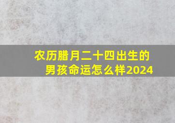 农历腊月二十四出生的男孩命运怎么样2024