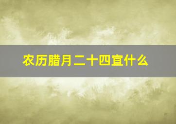 农历腊月二十四宜什么