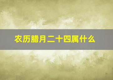 农历腊月二十四属什么