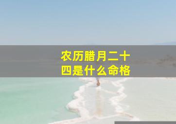 农历腊月二十四是什么命格