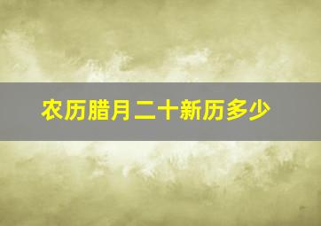 农历腊月二十新历多少