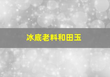 冰底老料和田玉