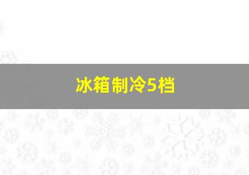 冰箱制冷5档