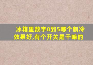 冰箱里数字0到5哪个制冷效果好,有个开关是干嘛的