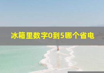 冰箱里数字0到5哪个省电