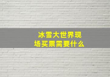 冰雪大世界现场买票需要什么