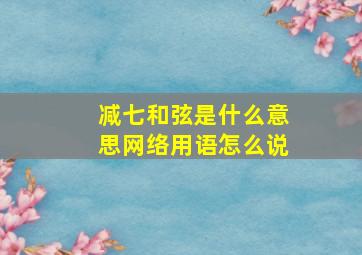 减七和弦是什么意思网络用语怎么说