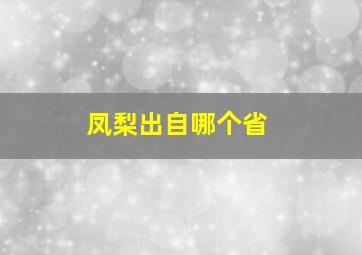 凤梨出自哪个省