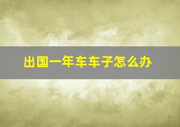 出国一年车车子怎么办