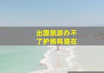 出国旅游办不了护照吗现在