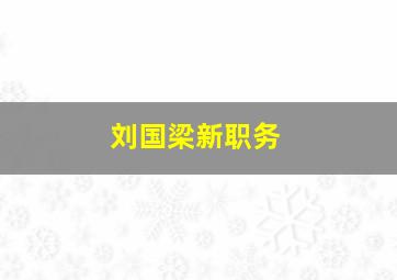 刘国梁新职务