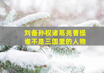 刘备孙权诸葛亮曹操谁不是三国里的人物