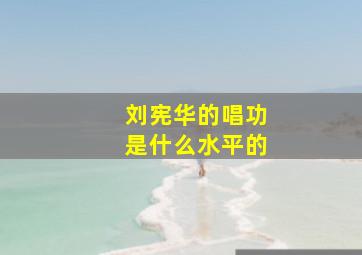 刘宪华的唱功是什么水平的