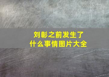 刘彰之前发生了什么事情图片大全