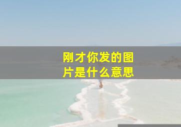 刚才你发的图片是什么意思