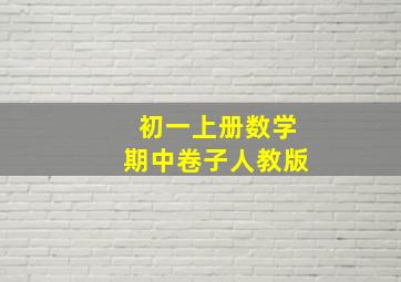 初一上册数学期中卷子人教版