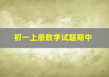 初一上册数学试题期中