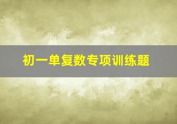 初一单复数专项训练题