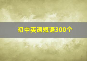 初中英语短语300个