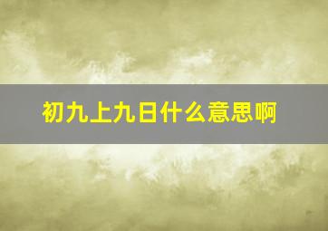 初九上九日什么意思啊