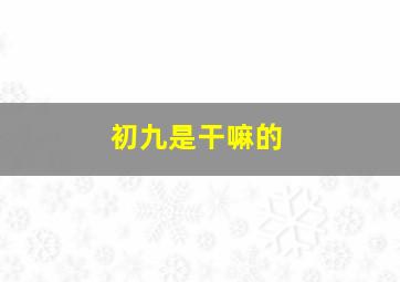 初九是干嘛的