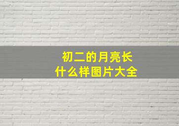 初二的月亮长什么样图片大全