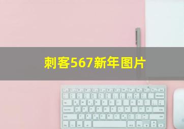 刺客567新年图片