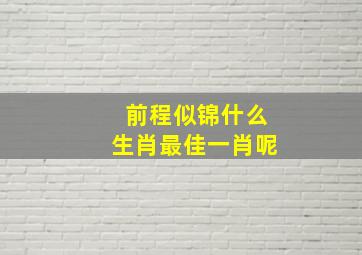 前程似锦什么生肖最佳一肖呢