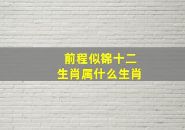 前程似锦十二生肖属什么生肖