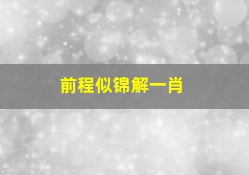 前程似锦解一肖