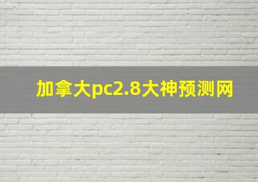 加拿大pc2.8大神预测网