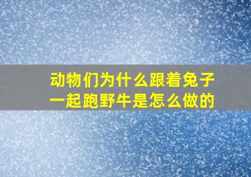 动物们为什么跟着兔子一起跑野牛是怎么做的