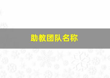 助教团队名称