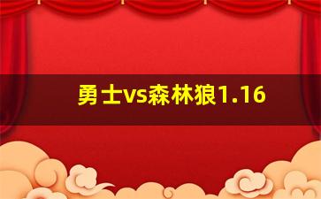 勇士vs森林狼1.16