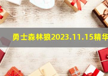 勇士森林狼2023.11.15精华