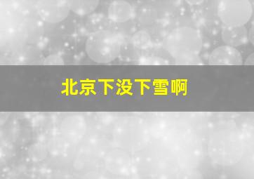 北京下没下雪啊