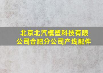 北京北汽模塑科技有限公司合肥分公司产线配件