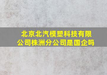 北京北汽模塑科技有限公司株洲分公司是国企吗