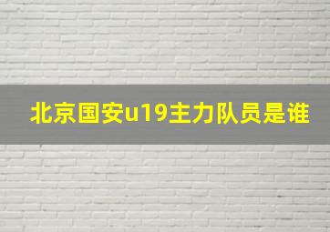 北京国安u19主力队员是谁