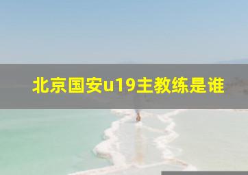 北京国安u19主教练是谁