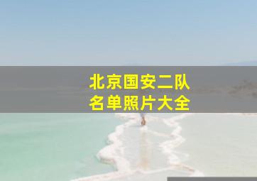 北京国安二队名单照片大全