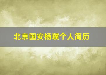 北京国安杨璞个人简历