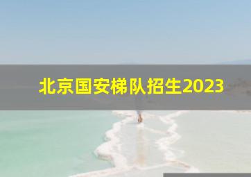 北京国安梯队招生2023